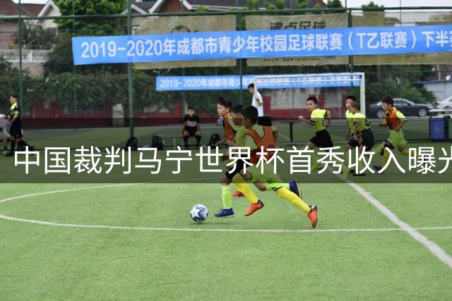 中国裁判马宁世界杯首秀收入曝光 单场执法进账超5万美元